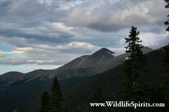 Click Picture to send as an  E-PostCard 62k 550x367